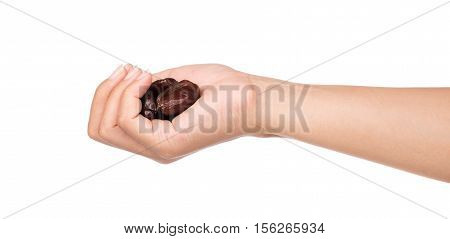 Hand Holding Dried Halawi Dates Isolated On A White Background.