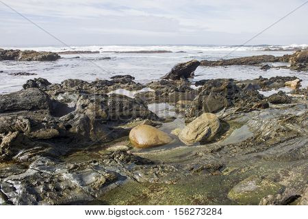 Two Boulders In Rock Pool