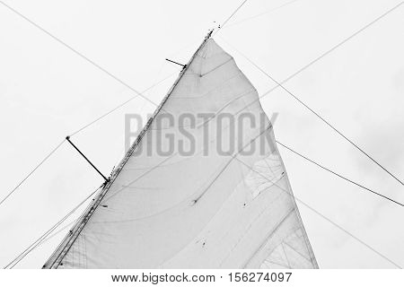 white sial of the sailing boat view from bellow