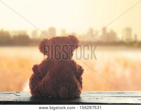 Teddy bear lonely with blurred city in sunset.