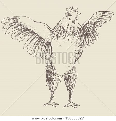 Illustration from the front rooster. Series of farm animals. Graphics scetch handmade drawing cock. Rooster wants to spread its wings and fly away. Vintage engraving style. Symbol New Year 2017
