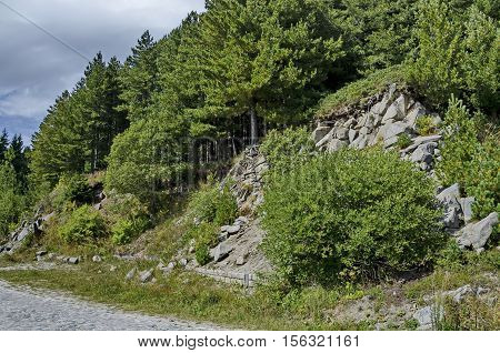 Green forest on  rocky  hill  and road near by hija or rest-house Aleko in Vitosha mountain, Bulgaria