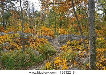 Autumn colours on display in the Carso karst limestone area of Friuli near Aurisina in north east Italy. The wooden signs indicate a walking trail.