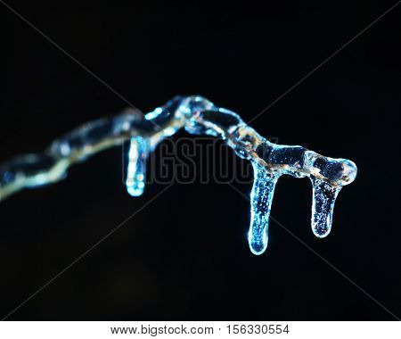 frosen icicles on tree branches night sceen close up picture