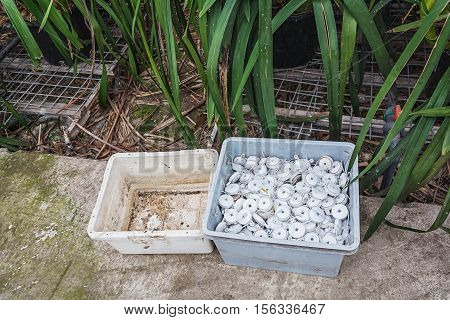 The box mount for stems of orchids.