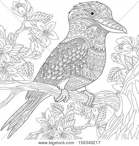 Stylized australian kookaburra bird and cherry blossoming tree. Freehand sketch for adult anti stress coloring book page with doodle and zentangle elements.