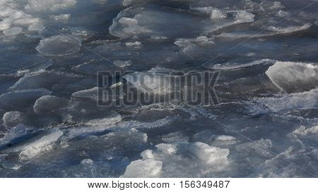 Formation of ice at the sea. Floating ice.