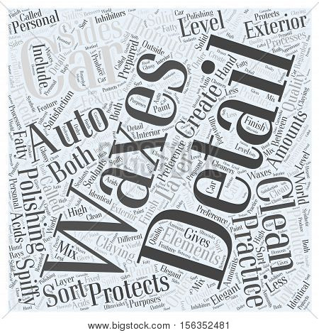 Spiffy Clean with Auto Detailing word cloud concept