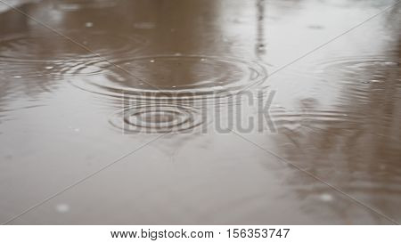 raindrops in puddle water blue splash autumn nature overcast gloomily