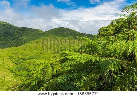View from Soufriere volcano, the highest mountain in Guadeloupe, French department in Caribbean