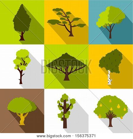 Arboreal plant icons set. Flat illustration of 9 arboreal plant vector icons for web