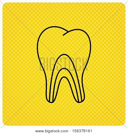 Dentinal tubules icon. Tooth medicine sign. Linear icon on orange background. Vector