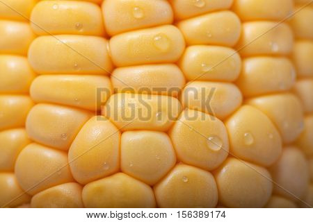 Pattern of fresh healthy yellow sweet corn