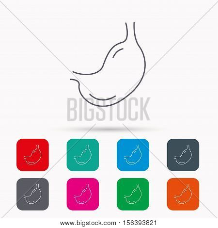 Stomach icon. Gastroscopy health sign. Anatomical body organ symbol. Linear icons in squares on white background. Flat web symbols. Vector