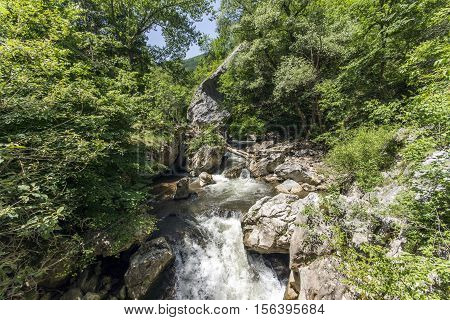 River in Gorge of Erma River in sunny summer day, Bulgaria