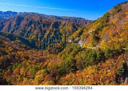 Autumn mountain in Toyoma, Hakusan Shirakawa-go White Road in the last of October.