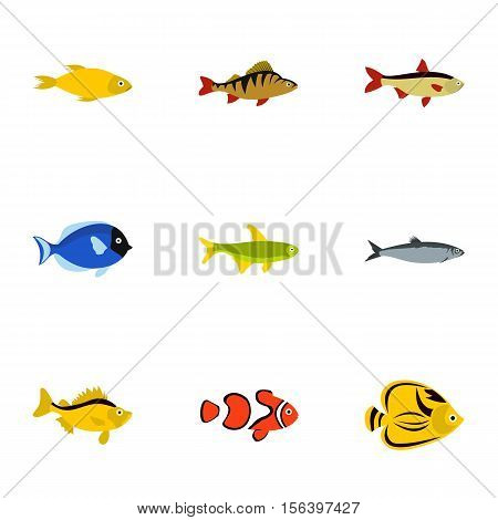 Marine fish icons set. Flat illustration of 9 marine fish vector icons for web