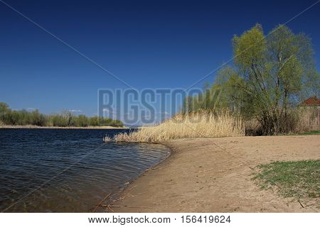River bank in the early spring period. Sunny, clear weather.