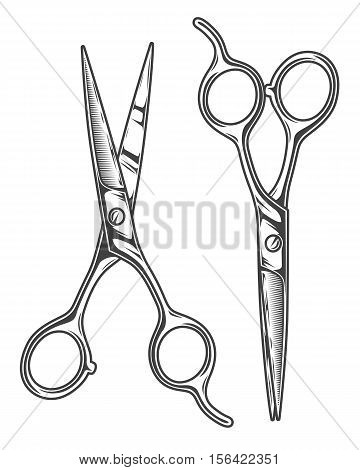 Monochrome illustration of chrome barber scissors. Isolated on white background