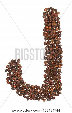 J letter made of cedar nuts on white