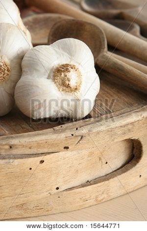 garlic closeup