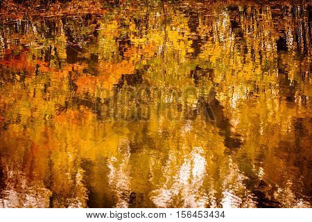 Beuatiful Autumn Colors in the River Reflexion