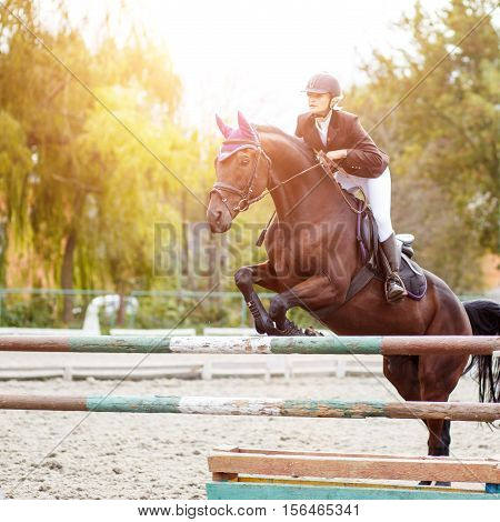Equestrian Sport Image. Show Jumping Competition