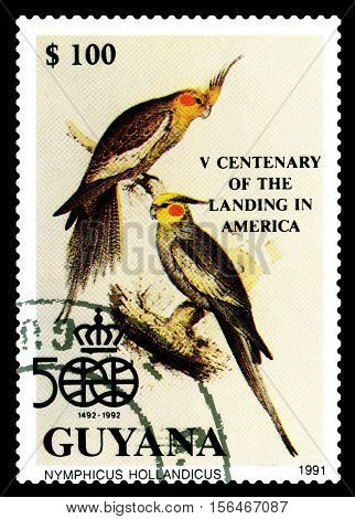 STAVROPOL RUSSIA - November 12 2016: A stamp printed by Guiana shows bird Nymphicus Hollandicus Discovery of America 500th Anniversary circa 1991