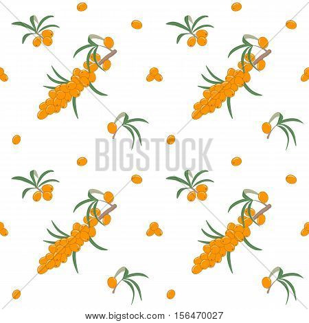 Seamless pattern with fresh ripe sea buckthorn berries on a branch with leaves. Natural medicine, medical herb. Vector illustration. For various designs.