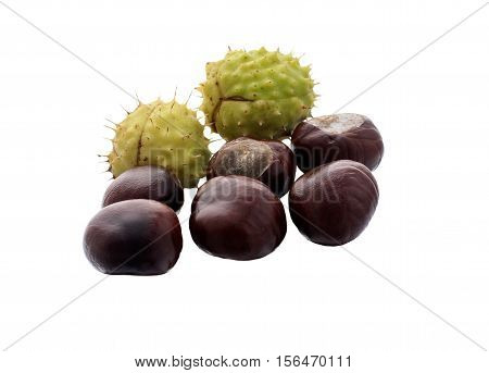 fruit chestnut on a white background .