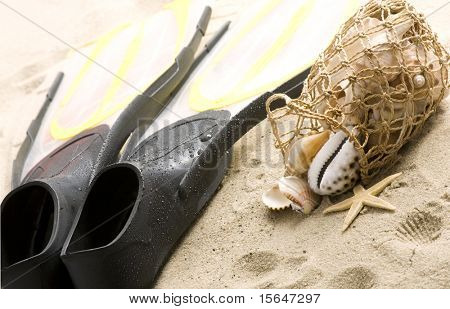 Muscheln und Flossen am Strand