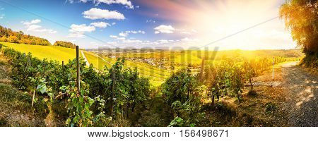 Panoramic landscape with autumn vineyards. Mosel Germany