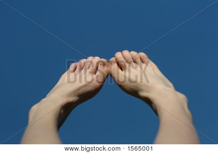 Piedi