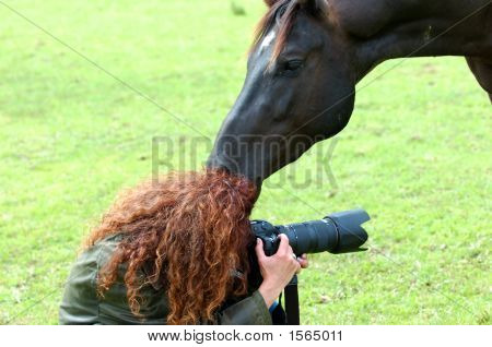 Donna e cavallo
