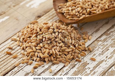 Scoop di grano Farro