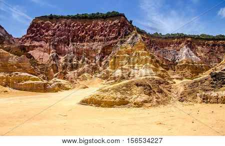 Northeast Brazil . Spectacular Cliffs Near Gunga Beach In Alagoas State .