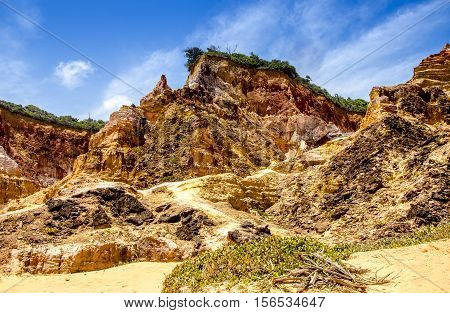 Northeast Brazil . Spectacular Cliffs Near Gunga Beach In Alagoas State .