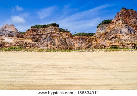 Northeast Brazil . Spectacular Cliffs Near Gunga Beach In Alagoas State .