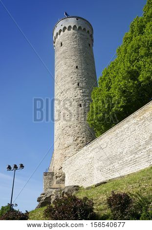 Tall Hermann - a tower of the Toompea Castle on Toompea hill. Tallinn Estonia