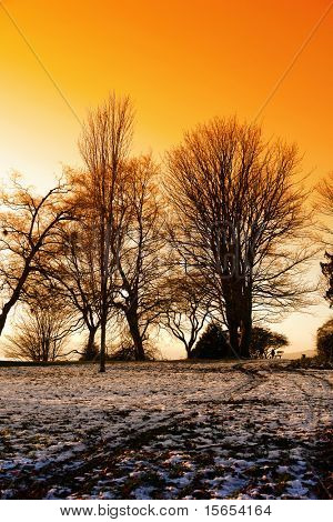 Chiazze neve al tramonto nel parco di Vancouver