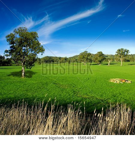 Rural landscape in the Adelaide Hills