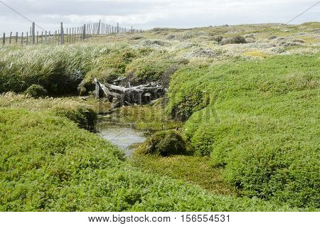 Seno Otway is a large inland sound lying between Brunswick Peninsula and Riesco Island in southern Chile.