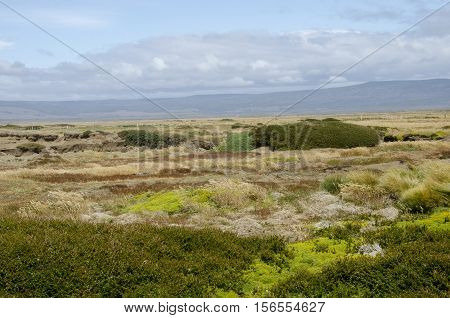 Seno Otway is a large inland sound lying between Brunswick Peninsula and Riesco Island in southern Chile.