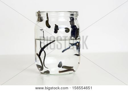 Hirudotherapy. Medical leeches in water before therapy