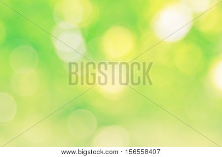 Blurred nature background.Backdrop with color and bright sun light. Summer holidays concept.bokeh background or Christmas background.Green Energy.