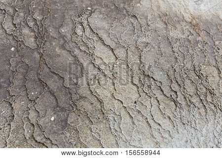 Detail of bacteria at Mammoth Hot Springs in Yellowstone National Park.