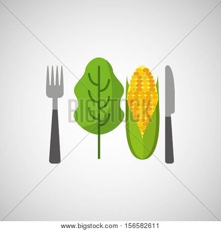 fresh eating lettuce with cob vector illustration eps 10