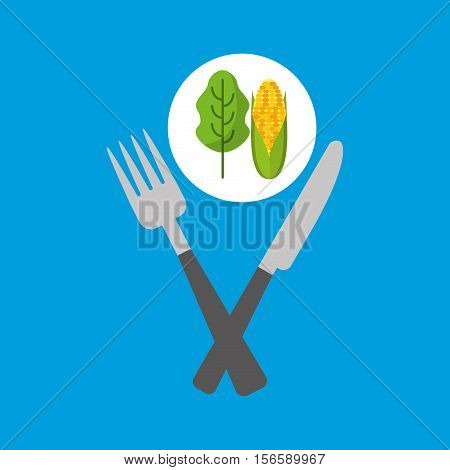 fresh eating lettuce with cob vector illustration eps 10