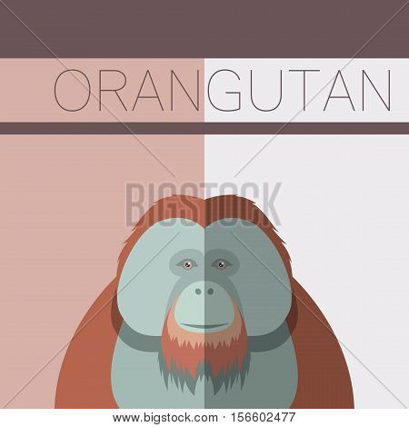 Vector image of the Orangutan flat postcard