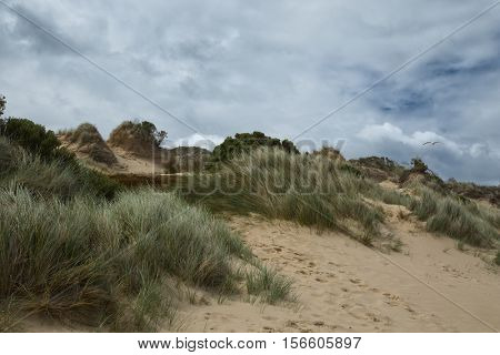 Sand dunes at Cape Woolamai at Philip island in Australia